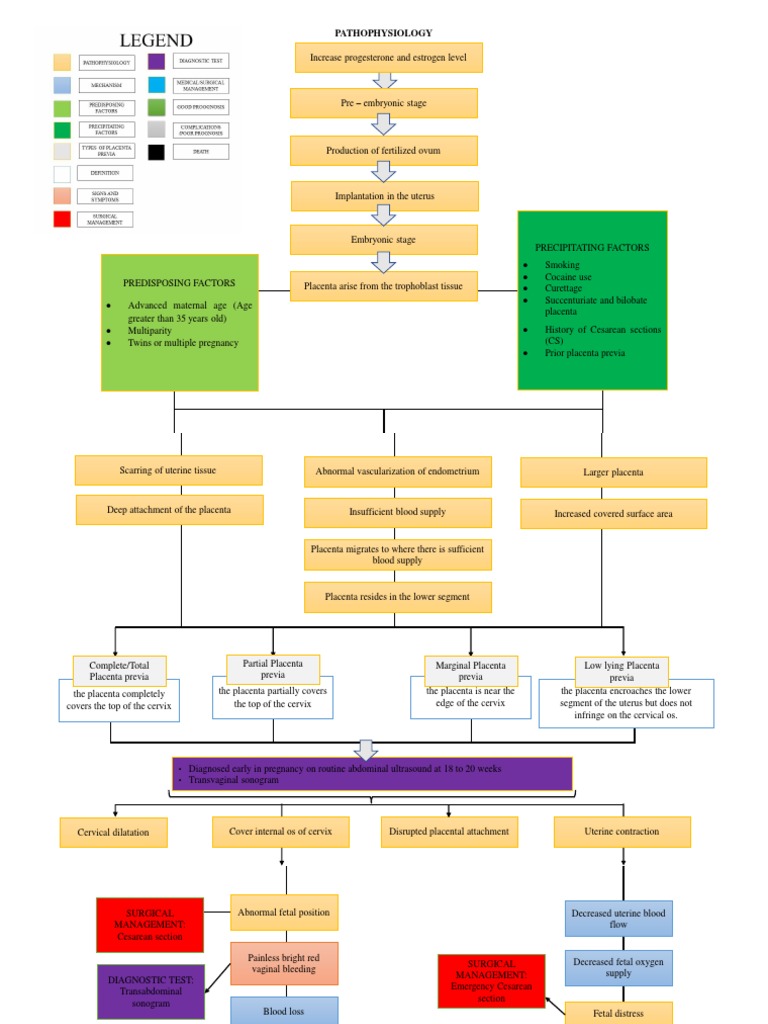Placenta Previa Pathophysiology