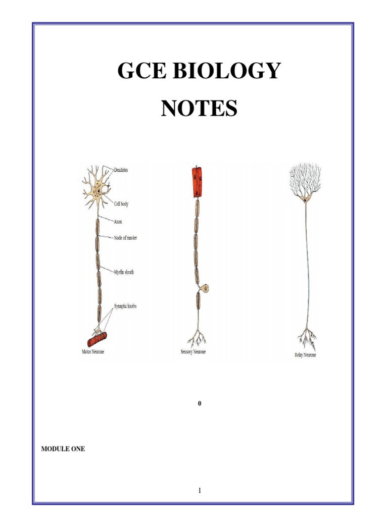 Basics of Biology Note PDF Enzyme Osmosis