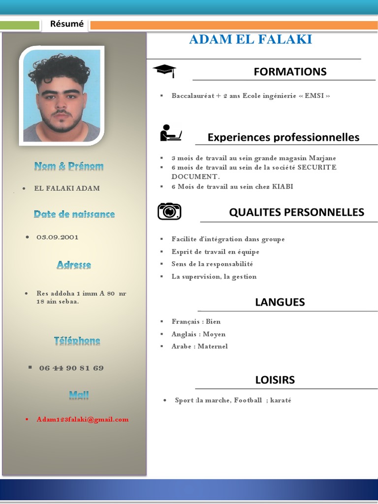 CV d'Adam El Falaki | PDF