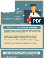 Standar Pelayanan Minimal (SPM) : Amelia Saputri (ARS19001) Intan Nurcahyaningsih (ARS19005) Saripa Talaohu (ARS19011)