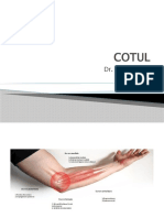 Cot 2021 Rompharm