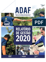 Relatorio de Gestao 2020 Final