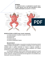 Anatomie Comparată Biologie Curs 7.2. Miologie-Amfibieni Si Pesti