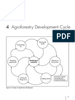 Agroforestry Development Cycle