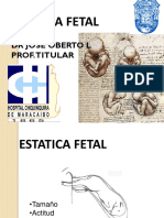 Estatica Fetal