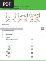 Emerging Market Outlook