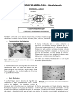 ESTUDO DIRIGIDO PARASITOLOGIA