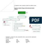 Actividad