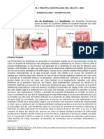 Diverticulosis y diverticulitis: factores de riesgo, clasificación y tratamiento