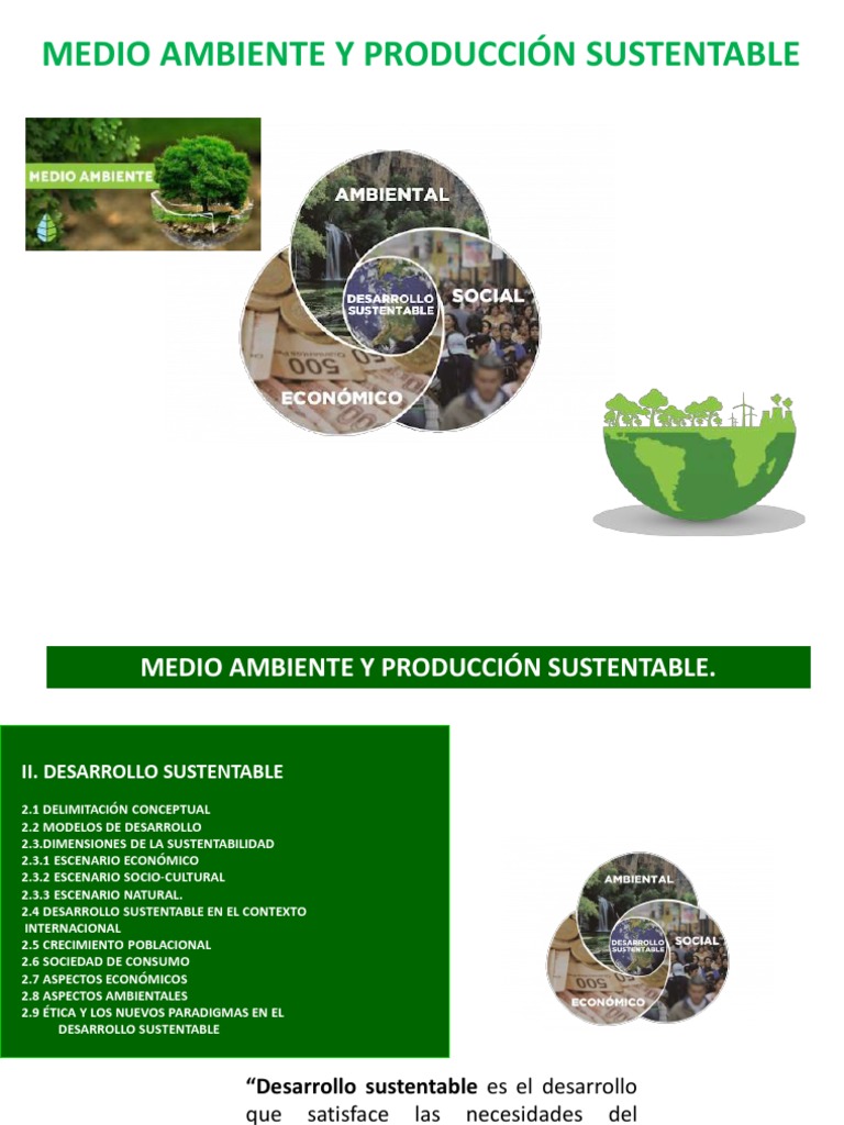 Desarrollo Sustentable y Medio Ambiente | PDF | Sustentabilidad ...