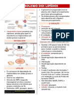 Lipídios Transporte β-Oxidação Metabolismo Lipólise Lipogênese Cetogênese Cetólise