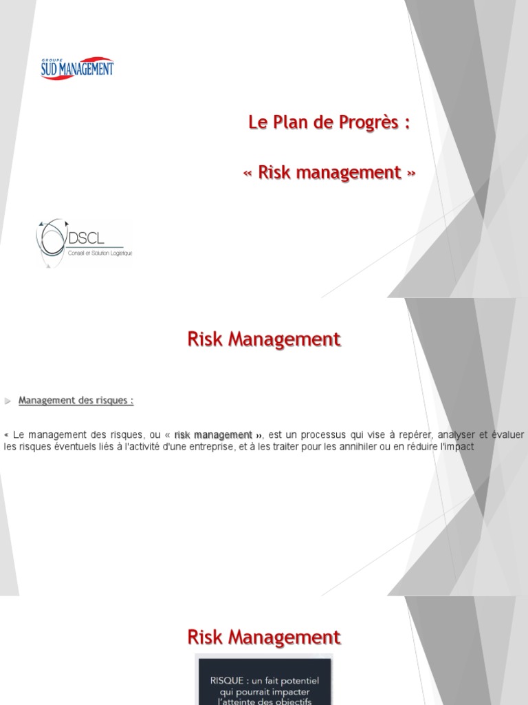 SM Stratégie - Risk Management | PDF | Affaires