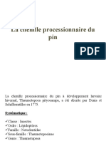 TD Chenille Processionnaire