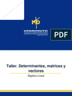 Taller Determinantes, Matrices y Vectores