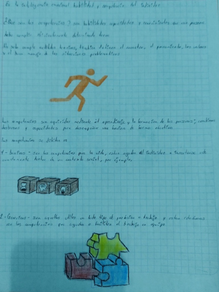 resumen-ilustrado-pdf