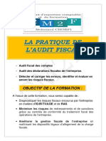 Programme La Pratique de Laudit Fiscal