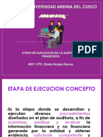 Etapa de Ejecucion de La Auditoria Financiera