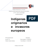 Informe Indigenas Originarios (Autoguardado)