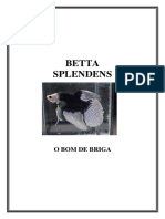 Betta splendens: o peixe de briga