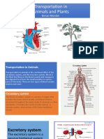 Transportation in Animals and Plants