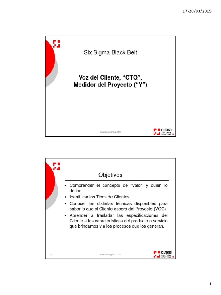 Análisis VOC y CTQ en Six Sigma | PDF | Cliente | Mercado (economía)