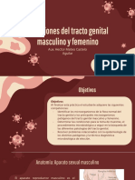 UNIDAD 15 Infecciones Del Tracto Genital Masculino y Femenino