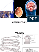Cisticercosis: Parásito que causa infección por tenia porcina
