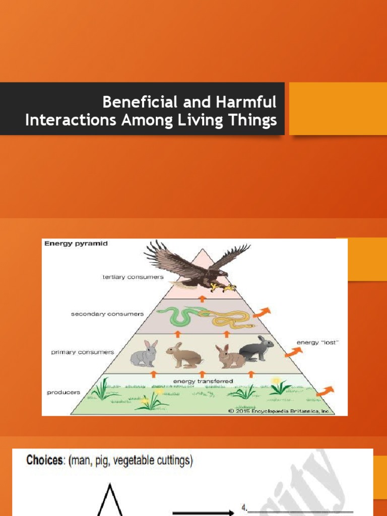 Science 4 Q2 Week 7 Pdf