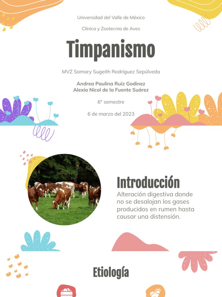 Timpanismo en Bovinos: Diagnóstico y Tratamiento | PDF | Especialidades ...