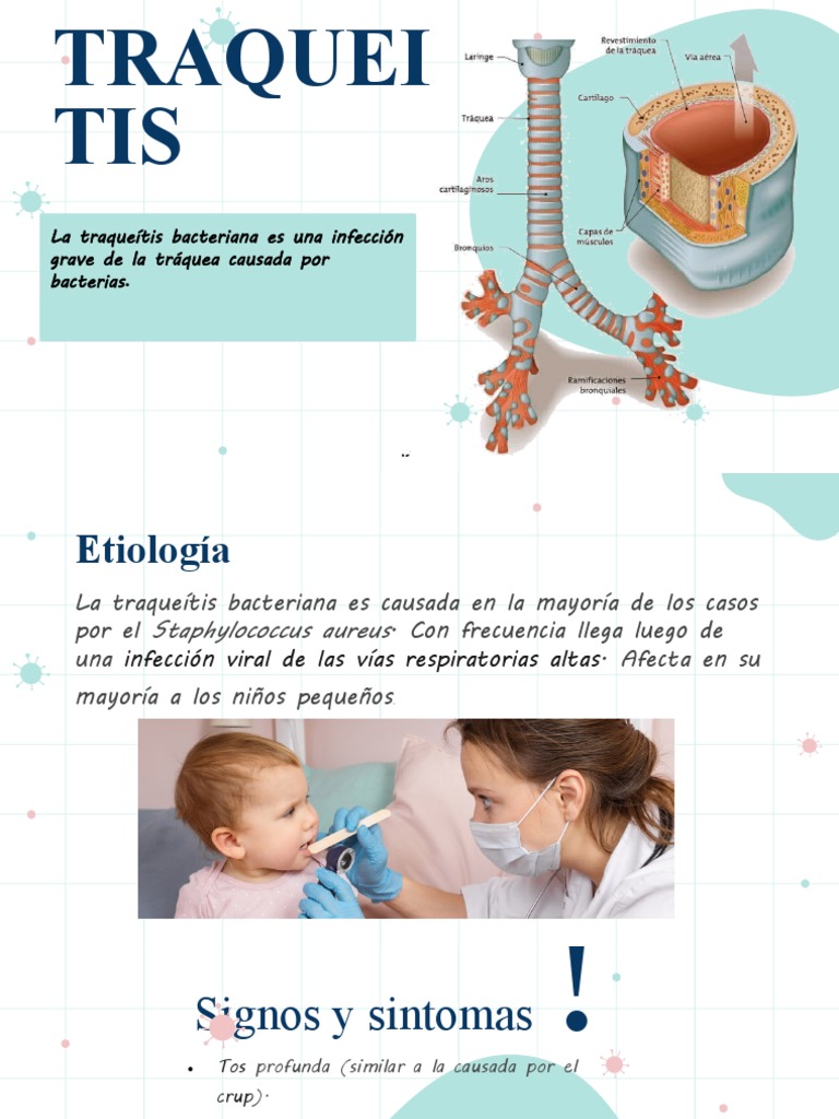 Tratamiento de la Traqueítis Bacteriana | PDF | Relaciones personales ...