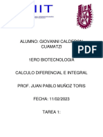 Tarea 1 Calculo