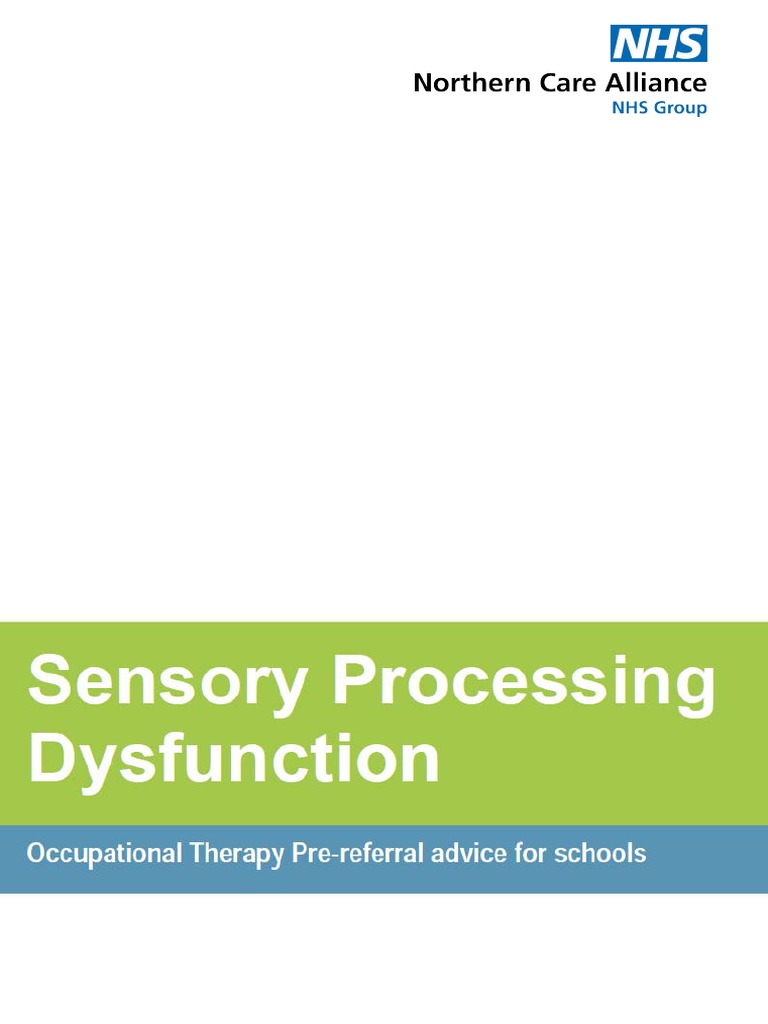 Sensory Processing Dysfunction PDF Senses Somatosensory System
