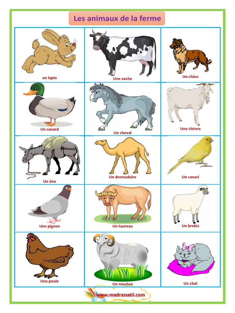 Animaux de la Ferme et Sauvages | PDF