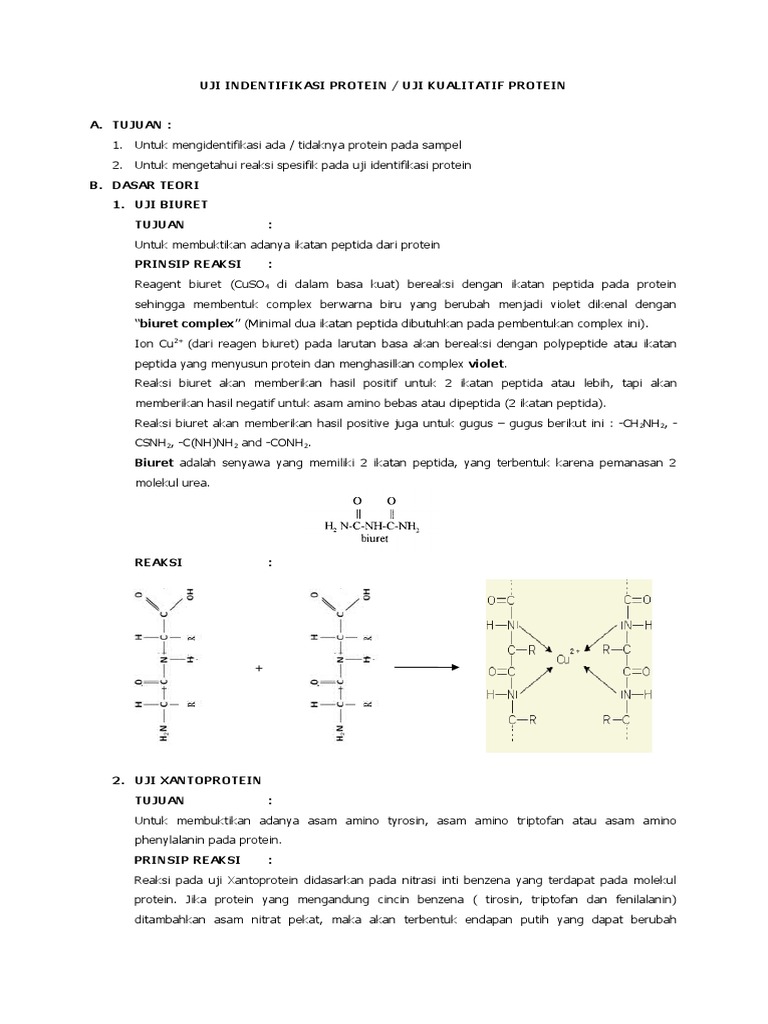 Uji Kualitatif Protein Pdf