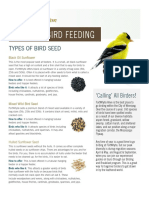Bird Feeding Guide