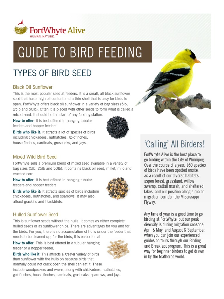Bird Feeding Guide | PDF | Birds | Ornithology