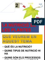 Tema 2 La Nutrició de Les Plantes