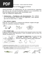 Para 4° Adaptaciones 
