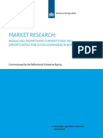 Market Study Biogas Brazil