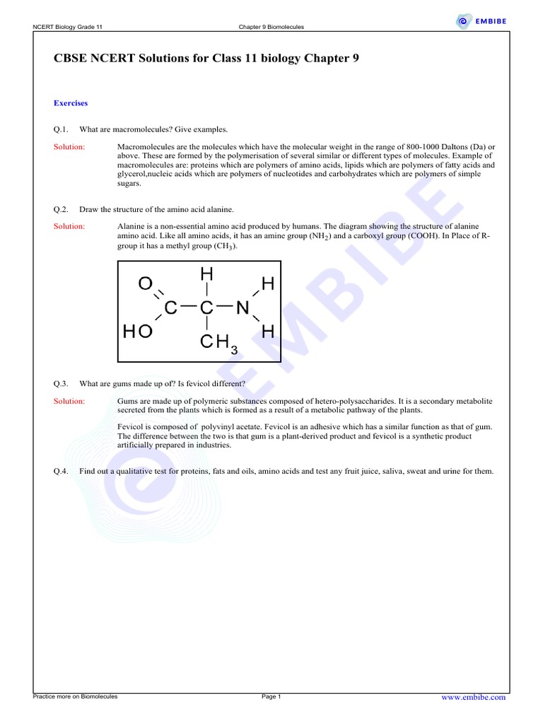 Biomolecules PDF Enzyme Proteins