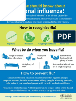 Who Seasonal Influenza Poster