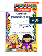 Carpeta Pedagogica 1ER GRADO REDUCIDO