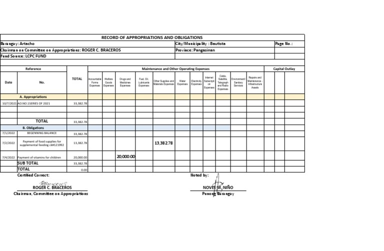 Record of appropriations and obligations total pdf economies