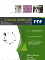 Erliquiose (Erlichia Canis)