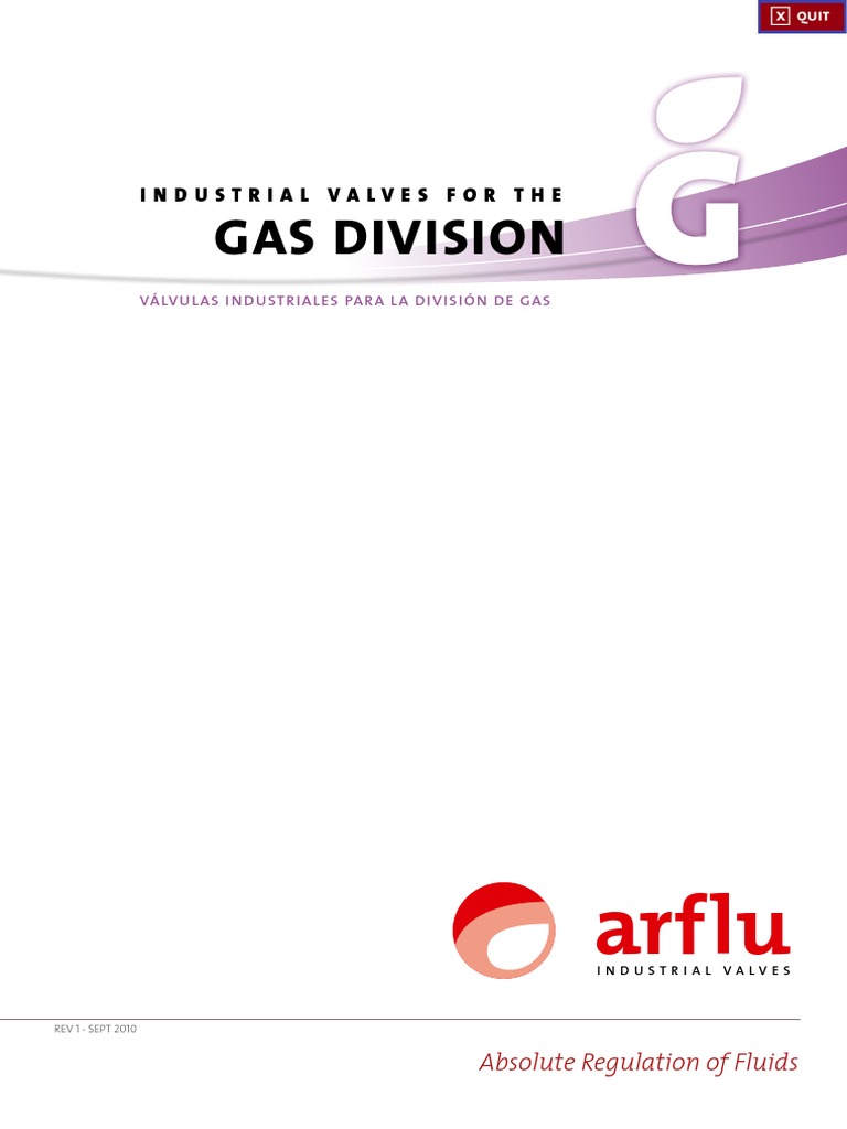 Gas Division: Arflu | PDF | Pipe (Fluid Conveyance) | Materials