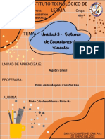 Sistema Ecuaciones Lineales Algebra