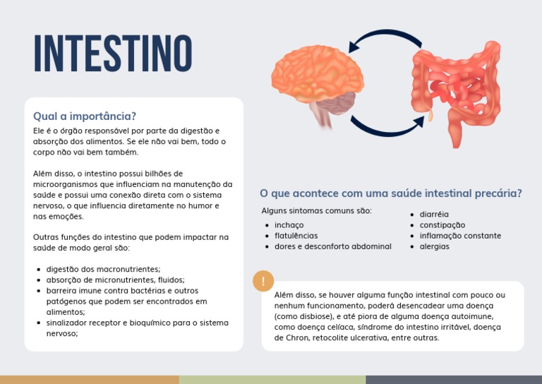 Saúde Intestinal e Suas Implicações | PDF | Bem-estar