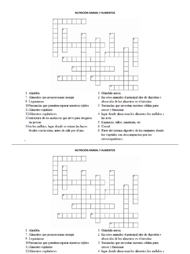 Crucigrama Nutrición Animal y Alimentos PDF
