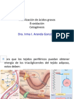 Movilización, Beta Oxidación y Cetogénesis - 4.0 Con Audio