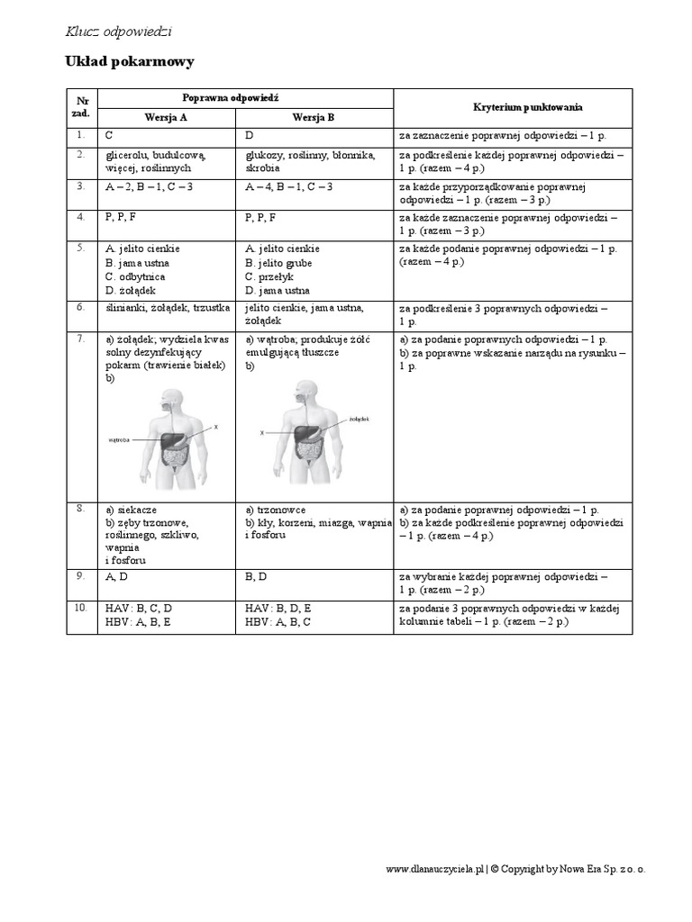 Układ Pokarmowy Test Klasa 7 układ pokarmowy klucz odpowiedzi | PDF